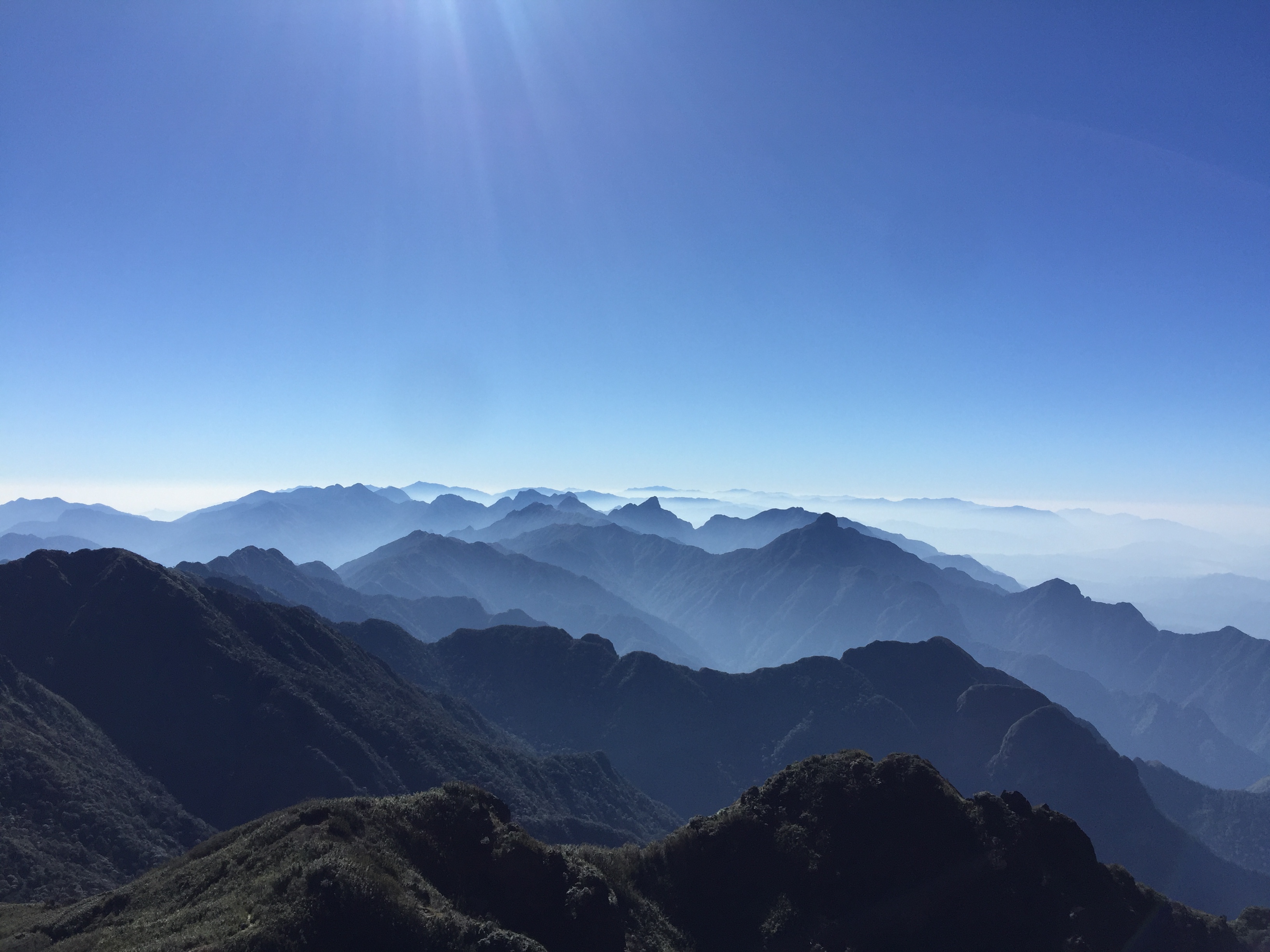 Sapa 