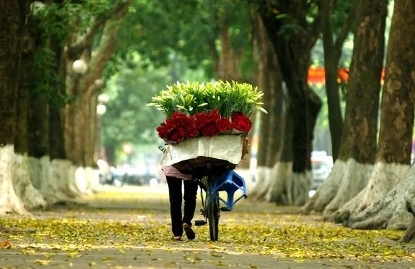 HA NOI HALF DAY TOUR