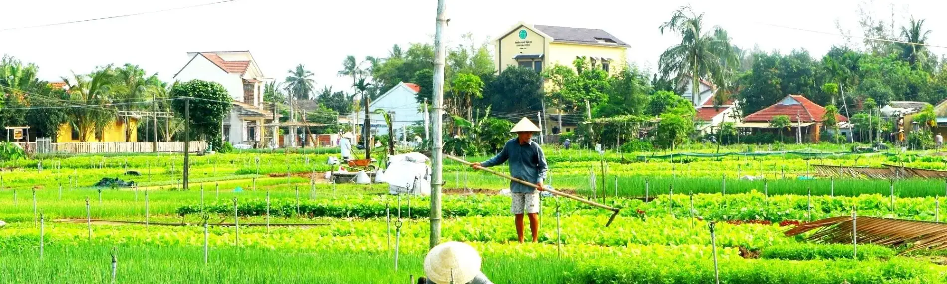 CYCLING - EXPLORE THE PEACEFUL HOI AN