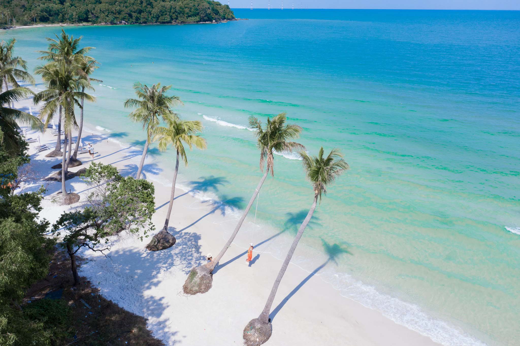 EXPERIENCE THE BEAUTY OF THE SOUTHERN LAND