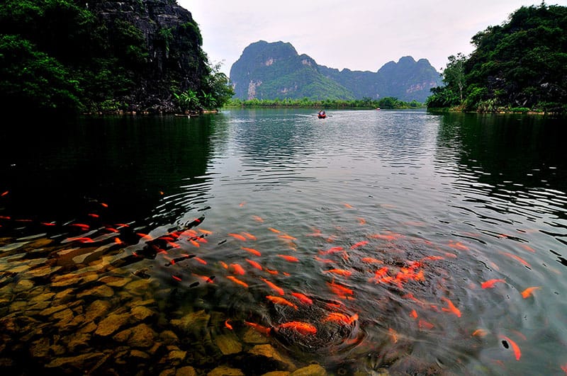 NINH BINH - TRANG AN - HOA LU