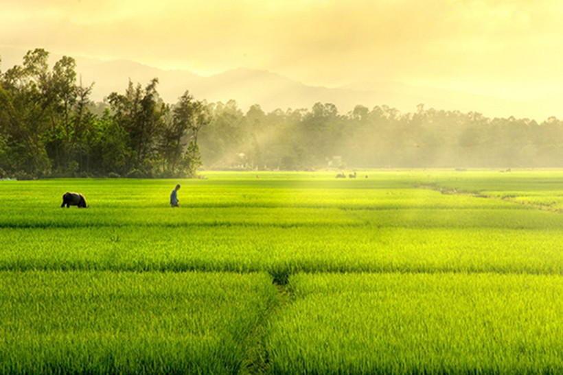 CYCLING - EXPLORE THE PEACEFUL HOI AN